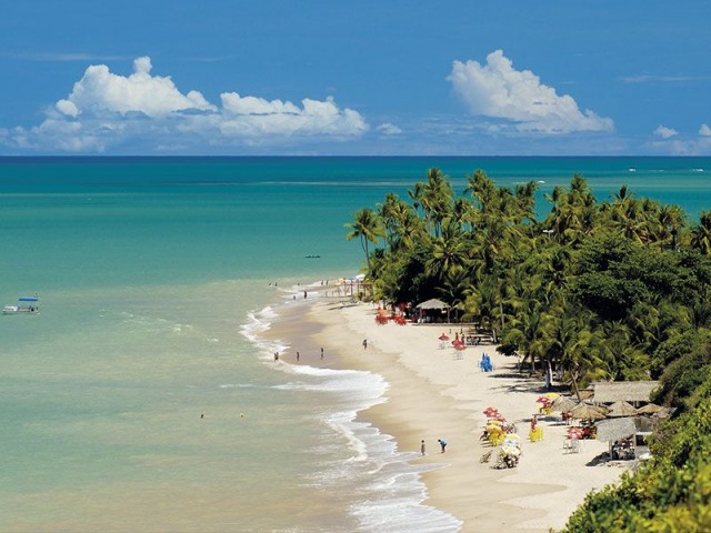 Imbassa�: el refugio tropical del nordeste brasile�o